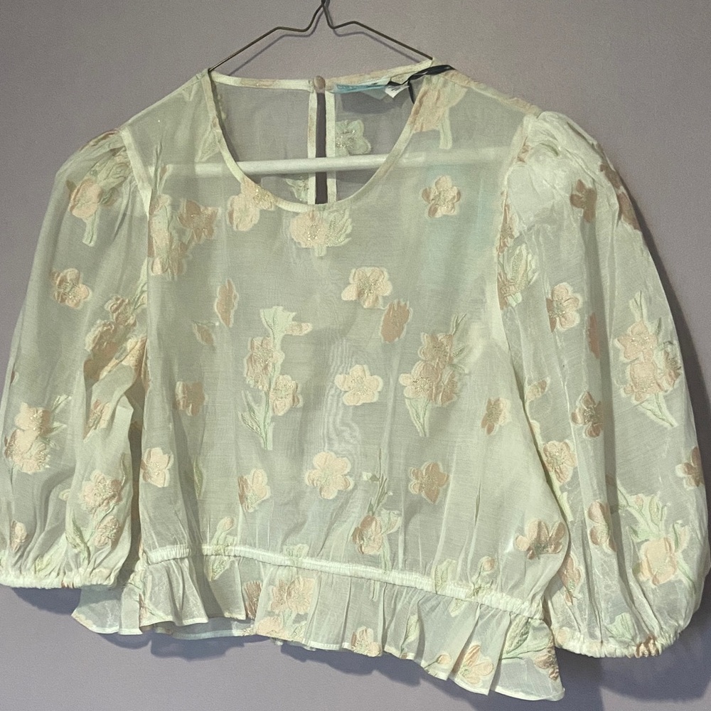 Sheer Floral Peplum Blouse - Pale Peach & Mint flower